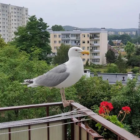 Przestronny Apartament Jelitkowo, Blisko Morza 2-pokoje 47m2 *